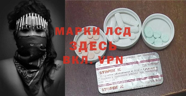 spice Болотное